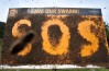 Live-bee-board-billboard-outdoor-abeilles-marketing-alternatif-banrock-station-plan-bee-cooperative-3-600x391