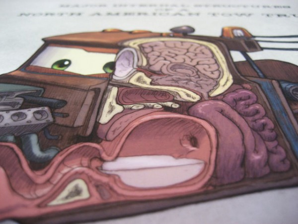 Anatomical Cars