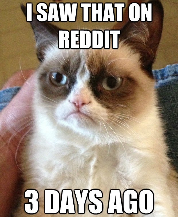 Grumpy Cat Meme