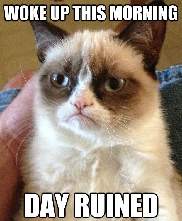 Grumpy Cat Meme