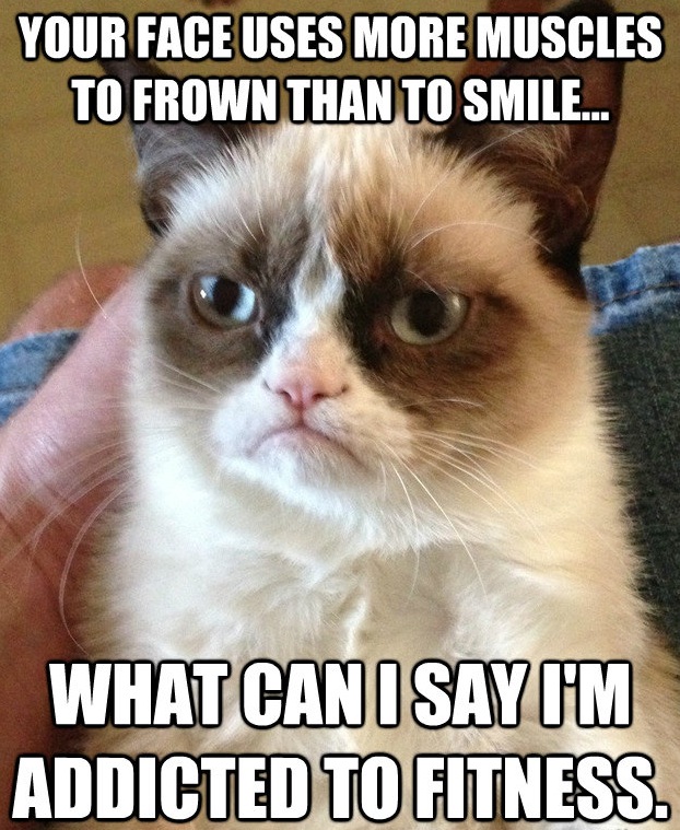 Grumpy Cat Meme