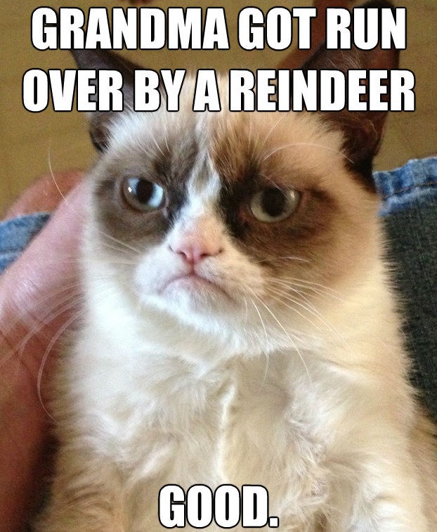 Grumpy Cat Meme