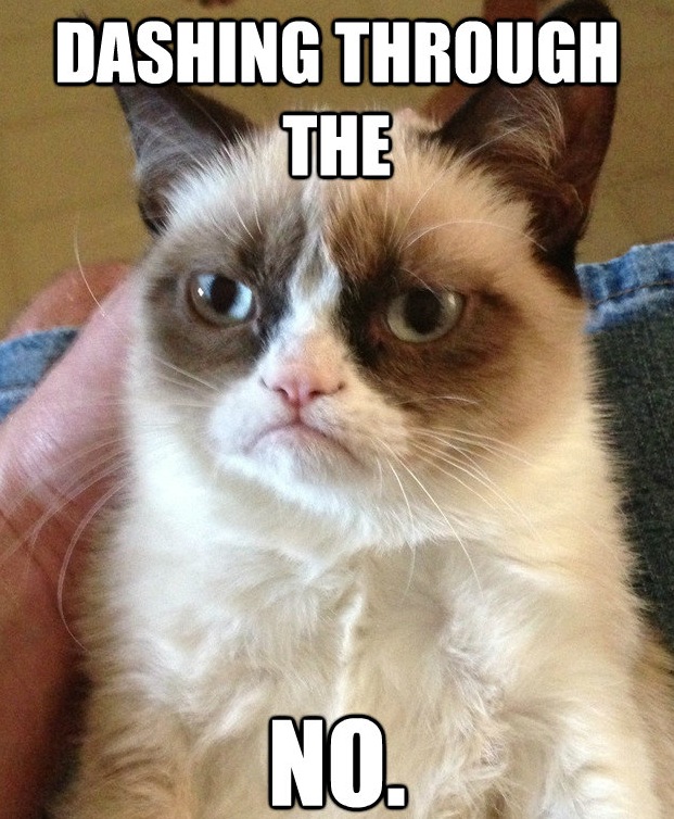 Grumpy Cat Meme