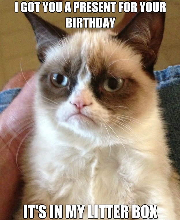 Grumpy Cat Meme