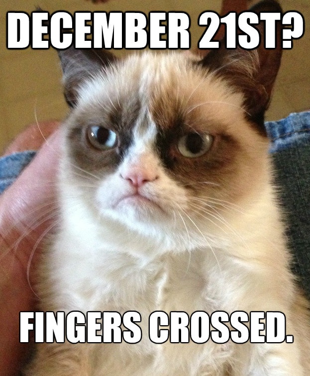 Grumpy Cat Meme
