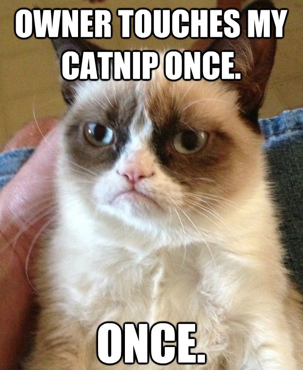 Grumpy Cat Meme