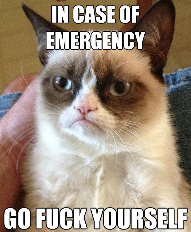 Grumpy Cat Meme