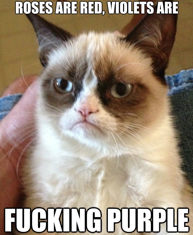 Grumpy Cat Meme