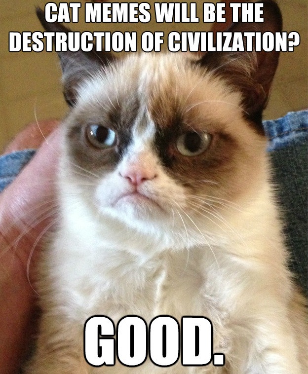 Grumpy Cat Meme