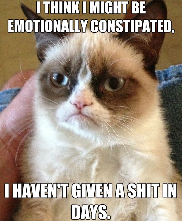 Grumpy Cat Meme