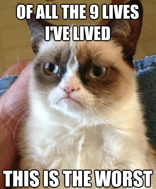 Grumpy Cat Meme