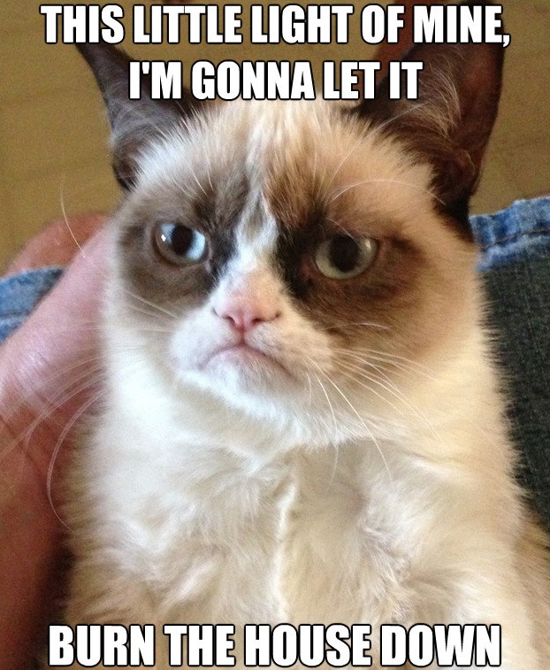 Grumpy Cat Meme