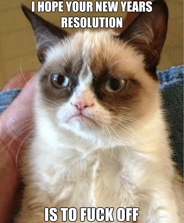 Grumpy Cat Meme