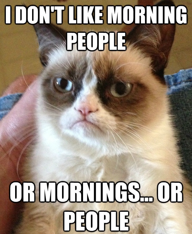 Grumpy Cat Meme