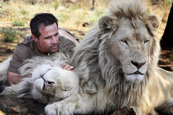 Kevin Richardson and his Lion Buddies