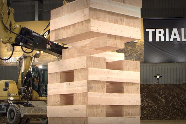 Caterpillar Playing Jenga