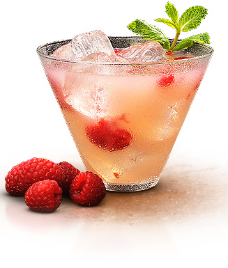 Raspberry Margarita - Camarena Tequila