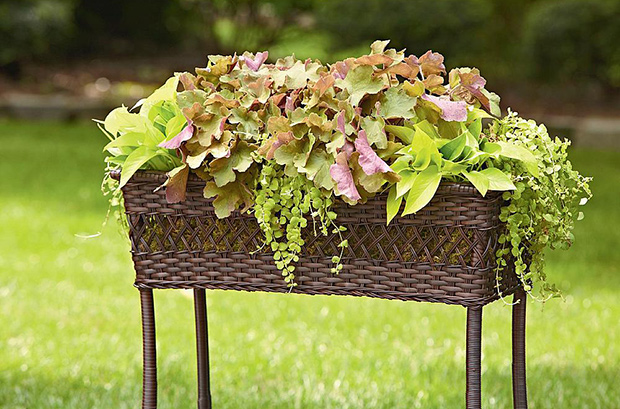 y Pennington Style Parkside Wicker Rectangle Plant Stand