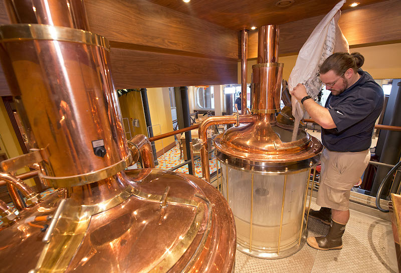Craft Brewery On Board the Carnival Vista