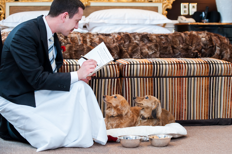 Pets welcome at Milestone Hotel