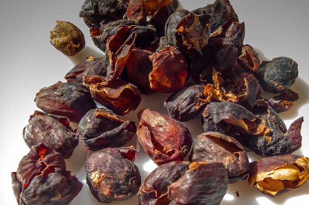 What is cascara?