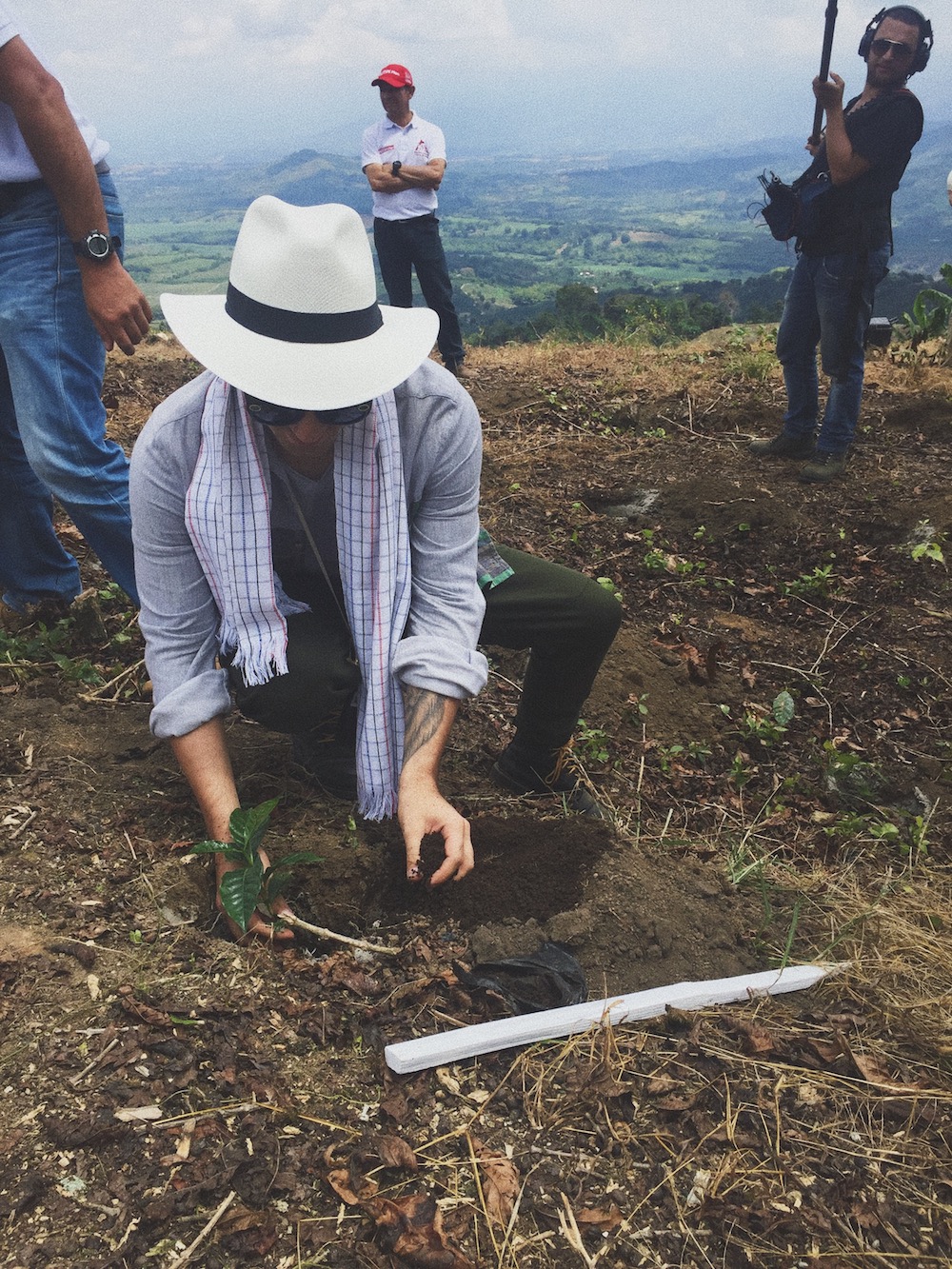 Planting a coffee tree in Colombia