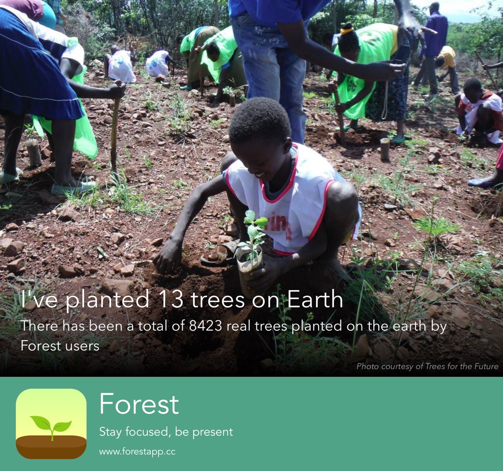 Real Forest App tree planing results